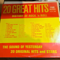 Bill Haley, Paul Anka, Gene Vincent, Little Richard, fats domino - 20 great hits