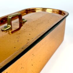 Variuoto metalo žuvies gaminimo indas su dangčiu ir žalvario rankenomis 17x51x13 cm