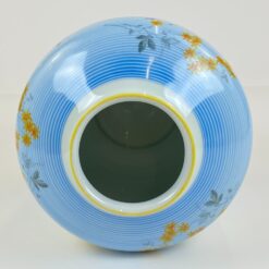 Porcelianinė Schwarzenhammer Bavaria vaza 23x23x27 cm