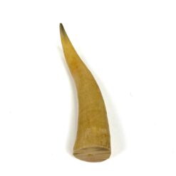 Ragas 2,5x2x11 cm
