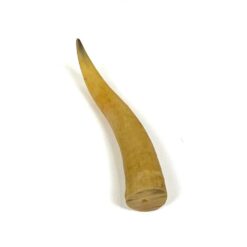 Ragas 2,5x2x11 cm