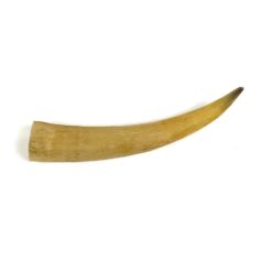 Ragas 2,5x2x11 cm