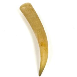 Ragas 2,5x2x11 cm