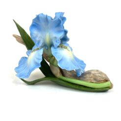 Porcelianinė Ronald Van Ruyckevelt statula “The blue sapphire iris” 15x23x14 cm