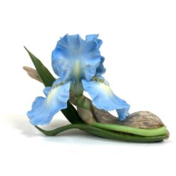 Porcelianinė Ronald Van Ruyckevelt statula “The blue sapphire iris” 15x23x14 cm