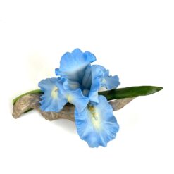 Porcelianinė Ronald Van Ruyckevelt statula “The blue sapphire iris” 15x23x14 cm