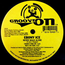 Ebony Ice - 1994 - Never Walk Alone [Maxi]