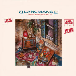 Blancmange - 1984 - The Day Before You Came [Maxi]