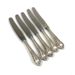 Vokiški nerūdijančio plieno Feinstahl Solingen peiliai sidabruoto metalo rankenomis 5 vnt. komplektas 25,5x1,5x2,5 cm