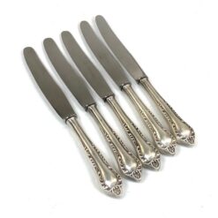 Vokiški nerūdijančio plieno Feinstahl Solingen peiliai sidabruoto metalo rankenomis 5 vnt. komplektas 25,5×1,5×2,5 cm