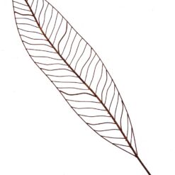 Įsmeigiama sendinto metalo sodo dekoracija „Augalo lapas” 1x32x147,5 cm