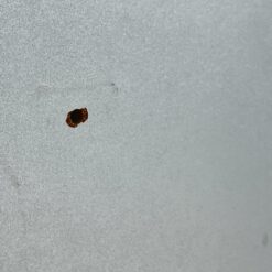 Pakabinama sieninė pilkos spalvos spintelė stiklinėmis durimis 42,5×70,5×40,5 cm