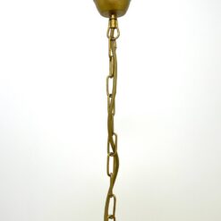 Pakabinamas Sorpetaler Leuchten metalinis augalinių motyvų penkių šakų šviestuvas stikliniais gaubtais 55x55x132 cm